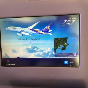 New IFE (Wrong Plane---Not a 787)