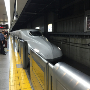 Nozomi Train