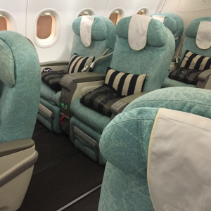 Etihad A320 Business Class