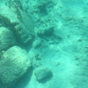 Cloudy conditions while snorkeling