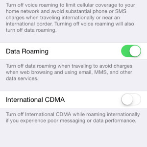 iPhone Roaming Settings