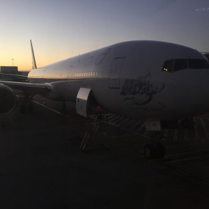 VA 777-300ER Sydney Sunrise