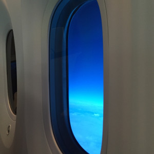 787 Windows :)