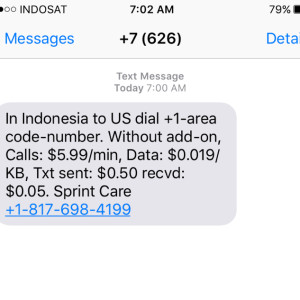 Indonesia (Voice Roaming Only)