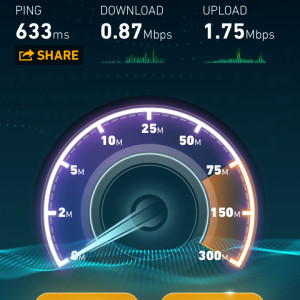 Speedtest #3 using Sprint