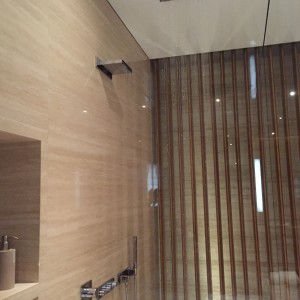 Rainforest Shower Head