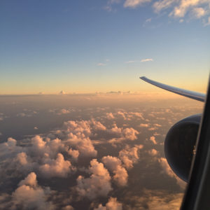 Landing into Sydney