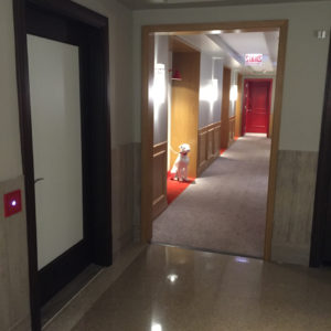 Hallway (Pet Friendly Rooms)