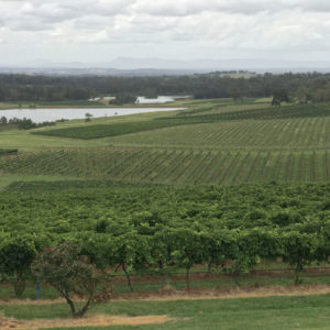 Audrey Wilkinson Winery