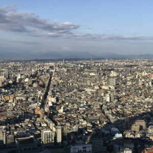 Mt. Fuji from Park Hyatt Tokyo