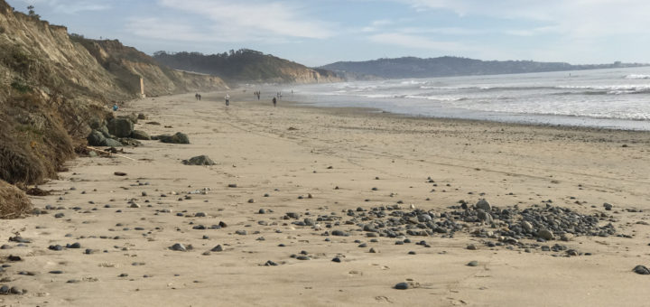 Torrey Pines