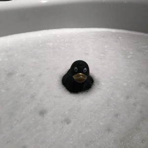 Bath Time!