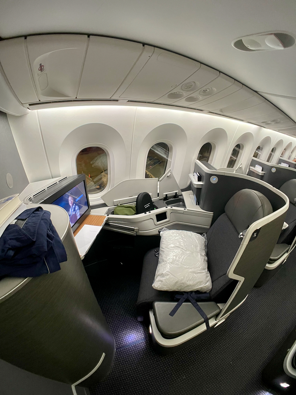 American Airlines Business Class: DFW-EZE B787-9 – Palo Will Travel