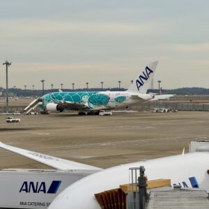 ANA A380