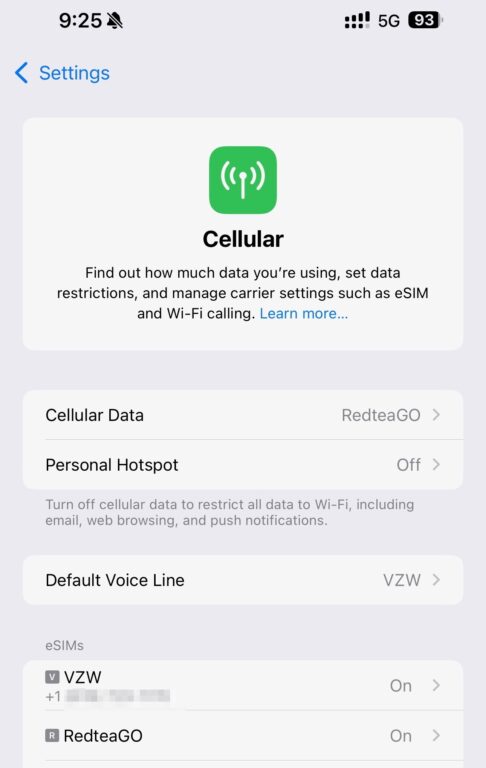 Dual eSIM iPhone