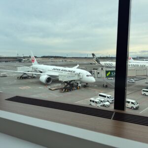 View from JAL Lounge